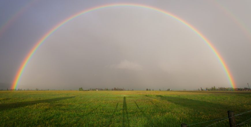 ΠΡΟΓΡΑΜΜΑΤΑ CLLD LEADER